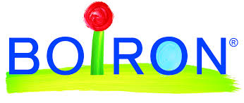 borion logo